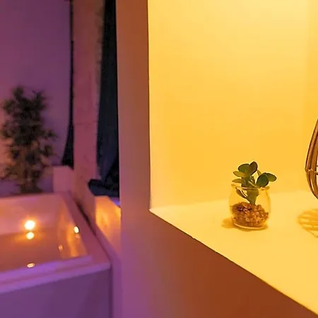 Lx203 Romantique Jacuzzi Prive - Appartement Dijon